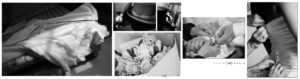 SErvizi fotografici matrimonio di Marina Caccia e Liste nozze da righetti mobili