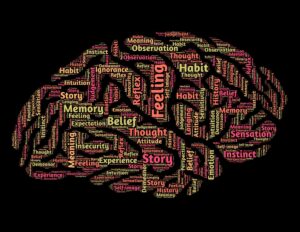 Cosa succede al cervello quando dormiamo